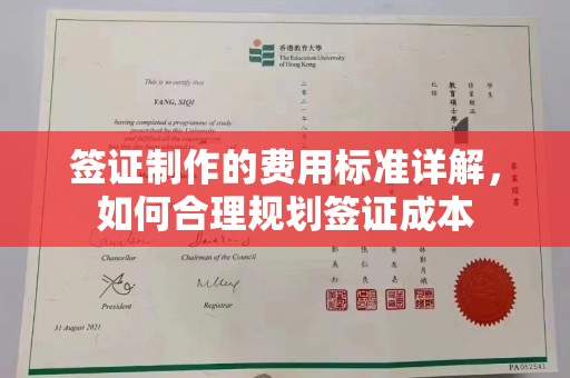 芗城签证制作的费用标准详解，如何合理规划签证成本